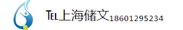 上海储文